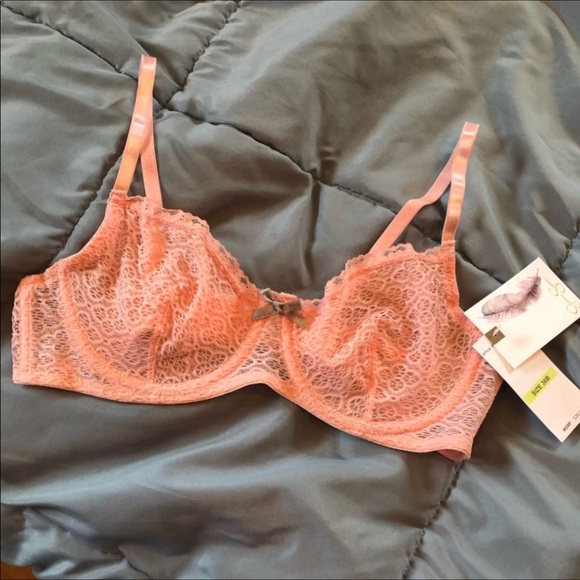 Jessica Simpson Other - NWT Jessica Simpson Sheer Lacey Bra 36B